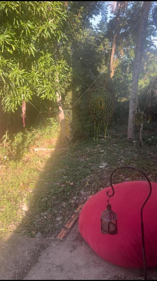 Homestay Ceres - Araras Azuis - 11 *